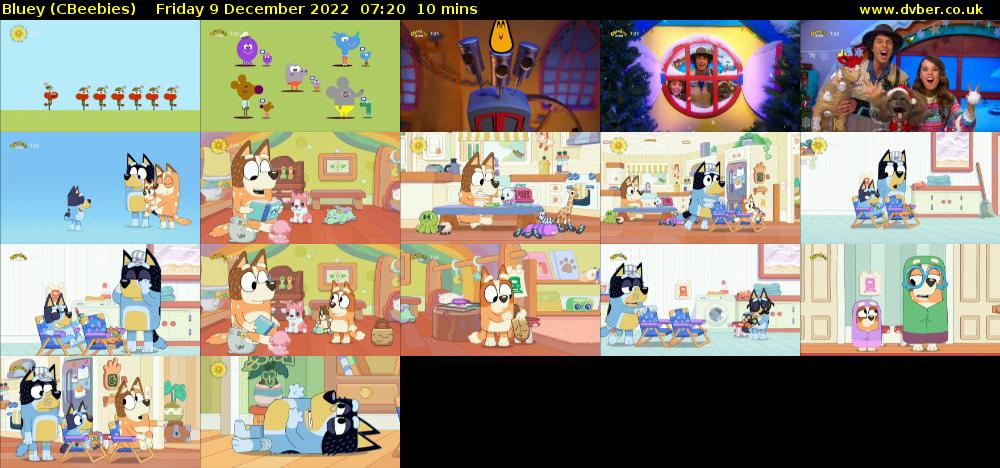 Bluey (CBeebies) Friday 9 December 2022 07:20 - 07:30