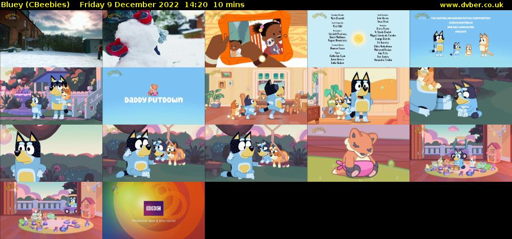Bluey (CBeebies) Friday 9 December 2022 14:20 - 14:30