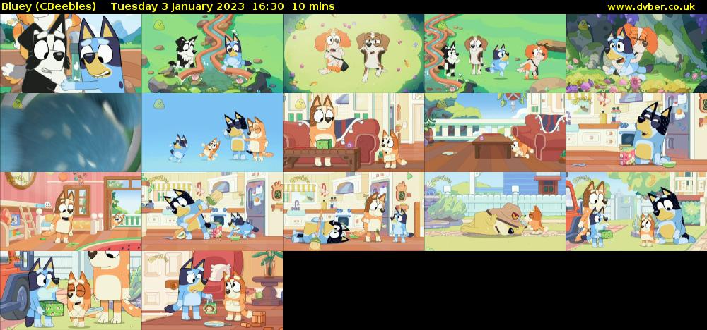 Bluey (CBeebies) Tuesday 3 January 2023 16:30 - 16:40