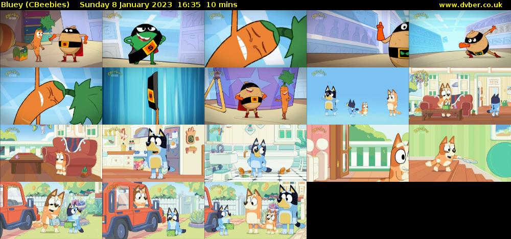 Bluey (CBeebies) Sunday 8 January 2023 16:35 - 16:45