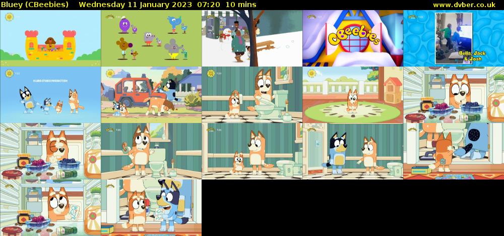 Bluey (CBeebies) Wednesday 11 January 2023 07:20 - 07:30