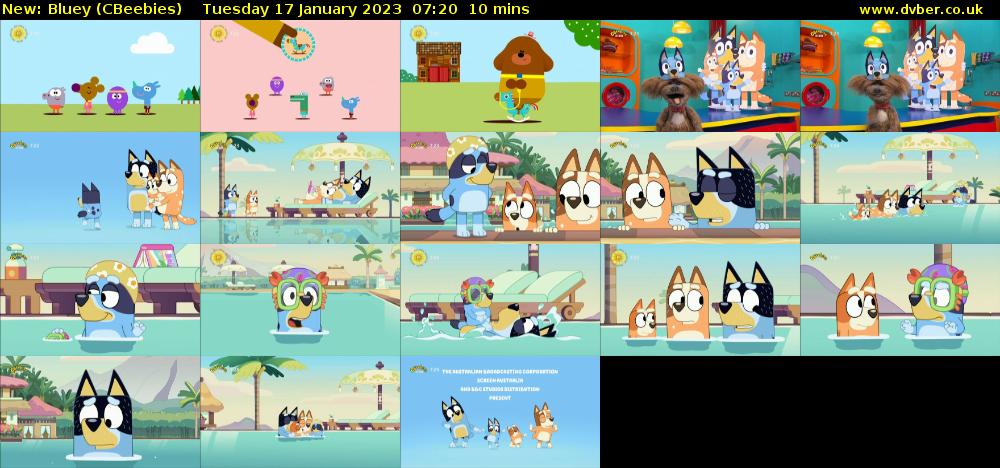 Bluey (CBeebies) Tuesday 17 January 2023 07:20 - 07:30