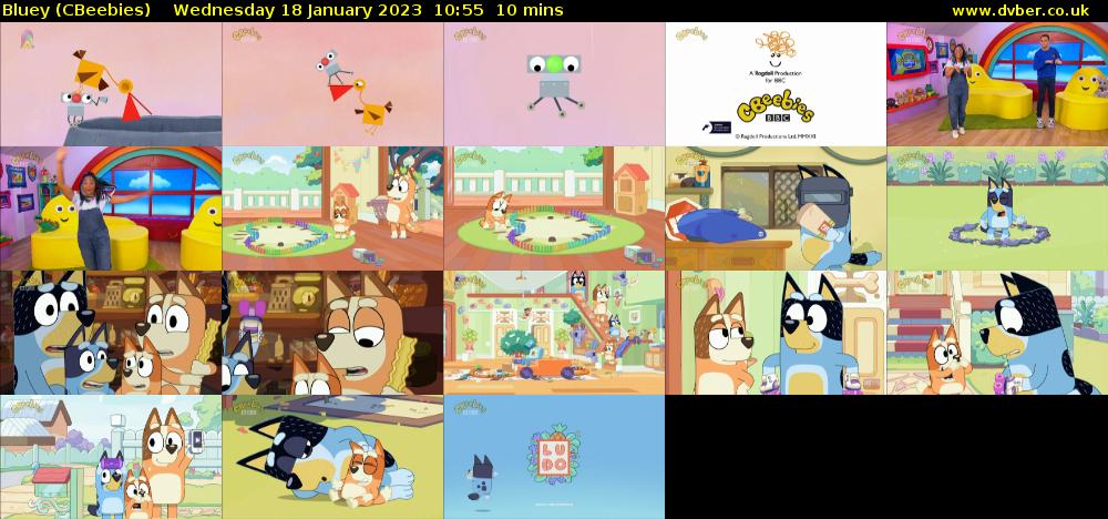 Bluey (CBeebies) Wednesday 18 January 2023 10:55 - 11:05
