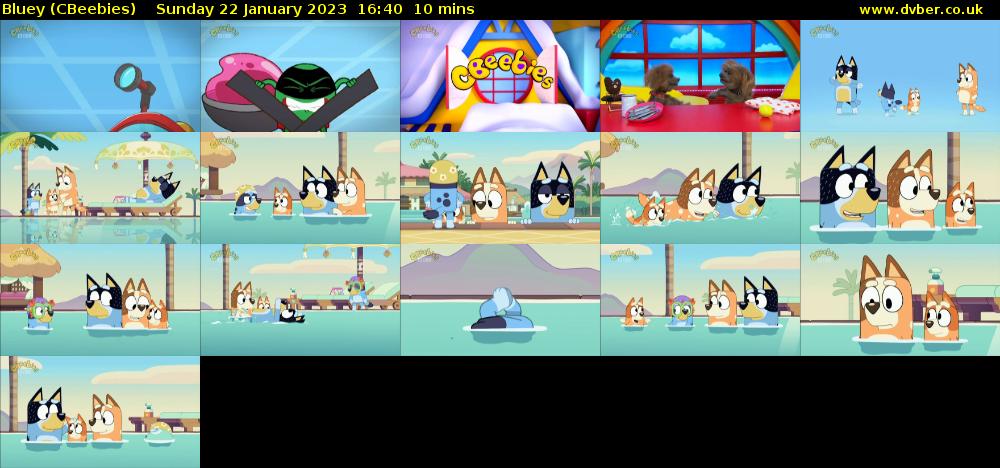 Bluey (CBeebies) Sunday 22 January 2023 16:40 - 16:50