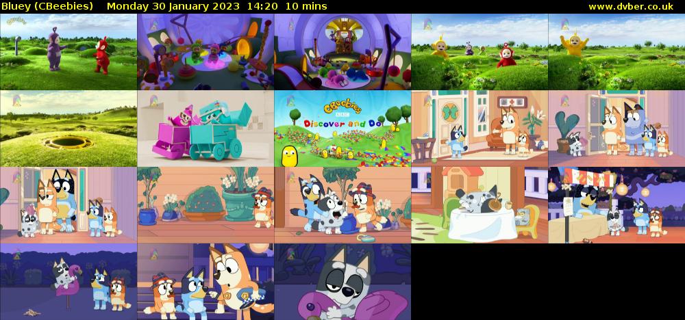 Bluey (CBeebies) Monday 30 January 2023 14:20 - 14:30