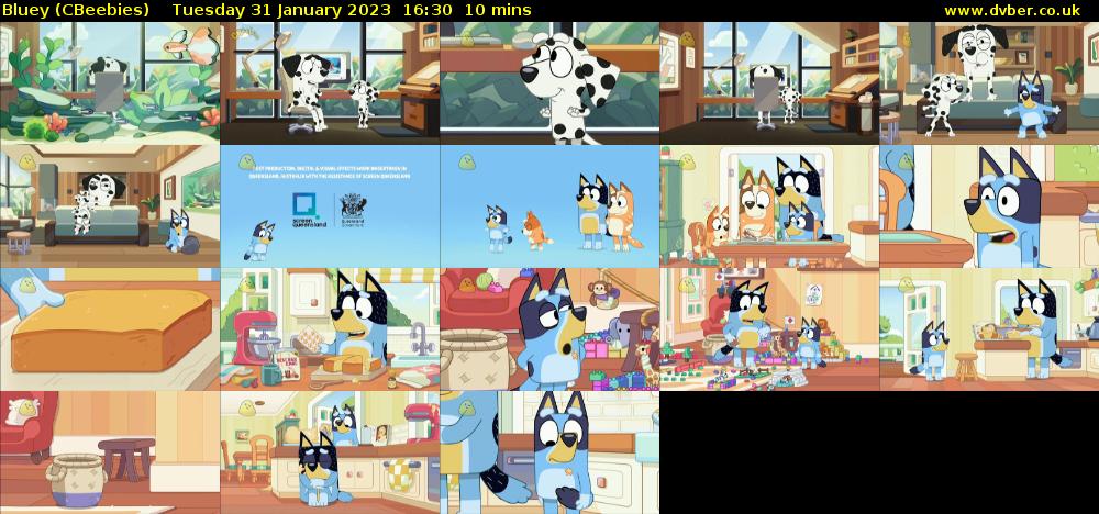 Bluey (CBeebies) Tuesday 31 January 2023 16:30 - 16:40