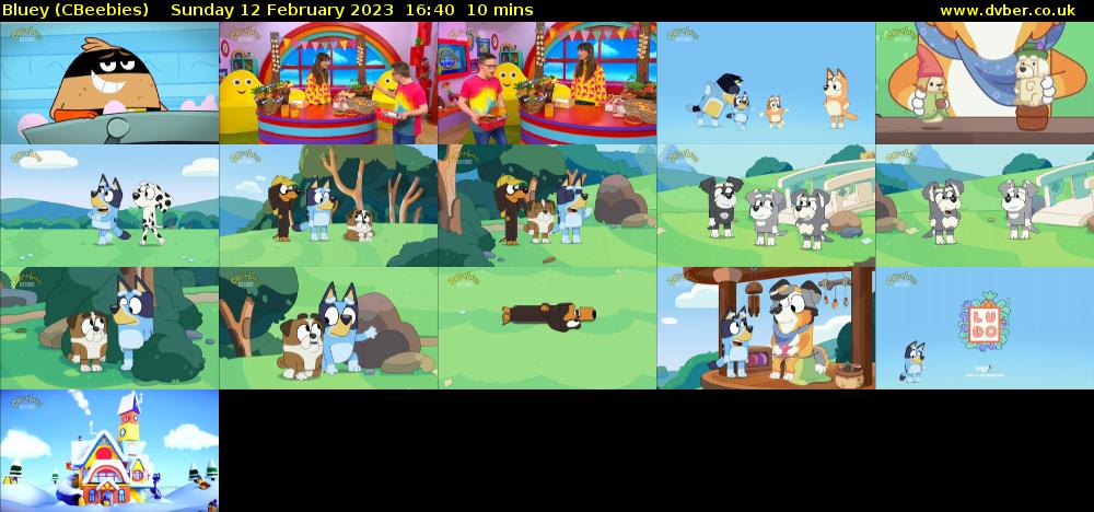 Bluey (CBeebies) Sunday 12 February 2023 16:40 - 16:50