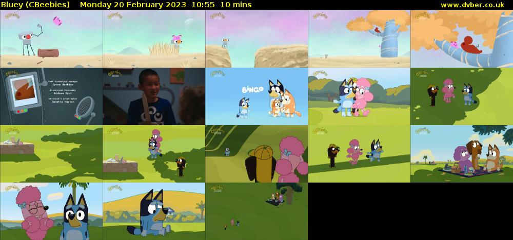 Bluey (CBeebies) Monday 20 February 2023 10:55 - 11:05