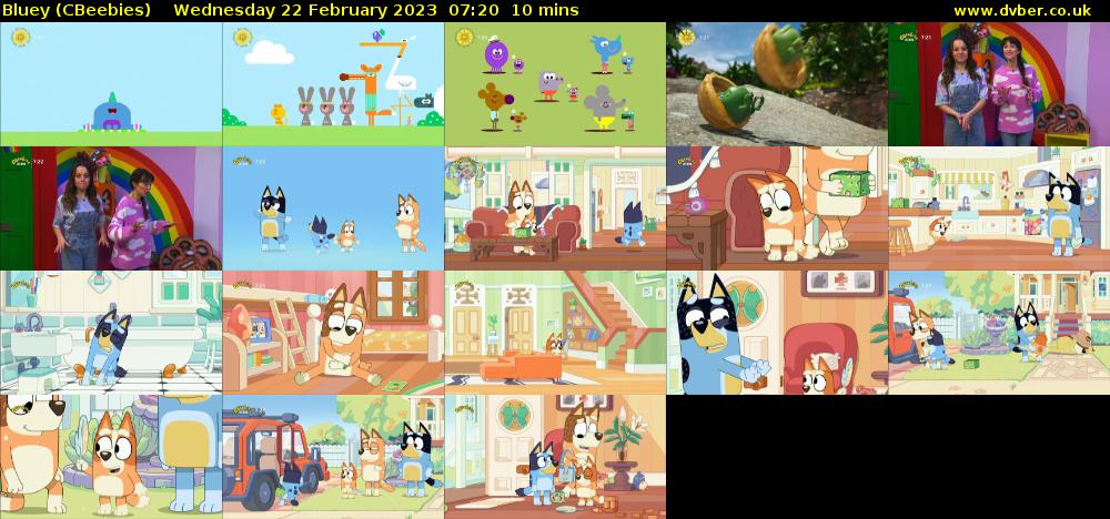 Bluey (CBeebies) Wednesday 22 February 2023 07:20 - 07:30