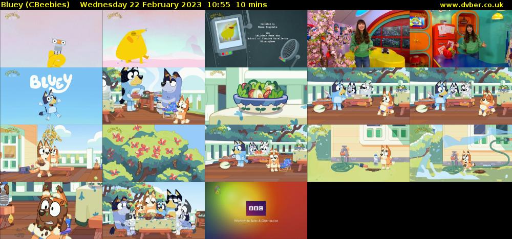 Bluey (CBeebies) Wednesday 22 February 2023 10:55 - 11:05