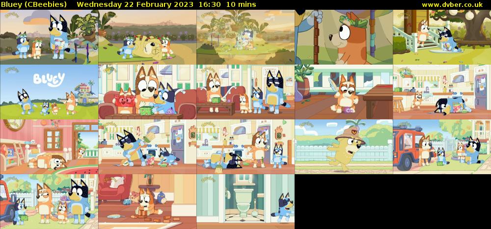 Bluey (CBeebies) Wednesday 22 February 2023 16:30 - 16:40