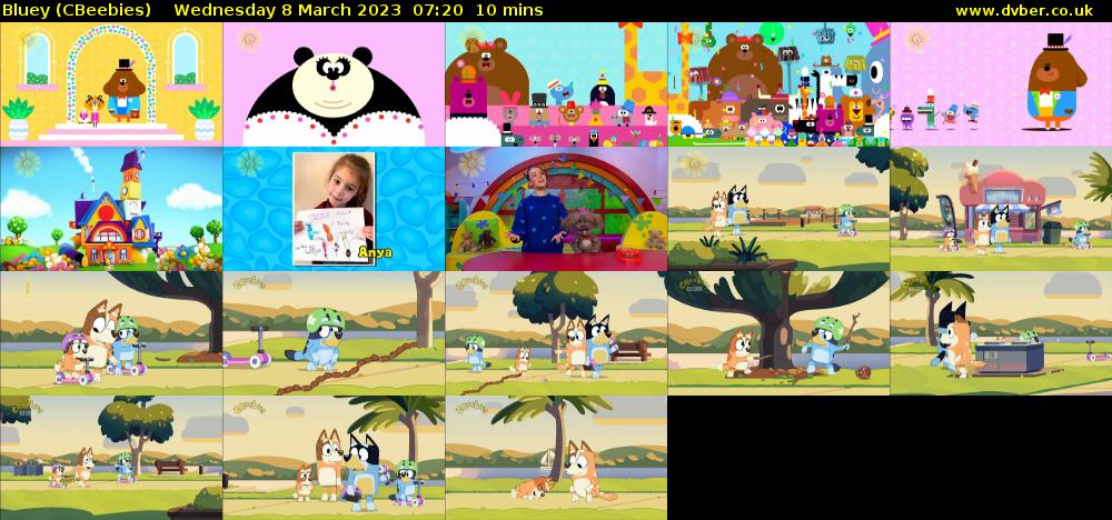 Bluey (CBeebies) Wednesday 8 March 2023 07:20 - 07:30