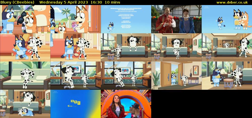 Bluey (CBeebies) Wednesday 5 April 2023 16:30 - 16:40