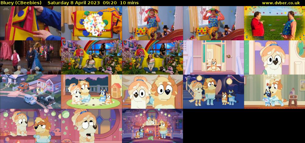 Bluey (CBeebies) Saturday 8 April 2023 09:20 - 09:30