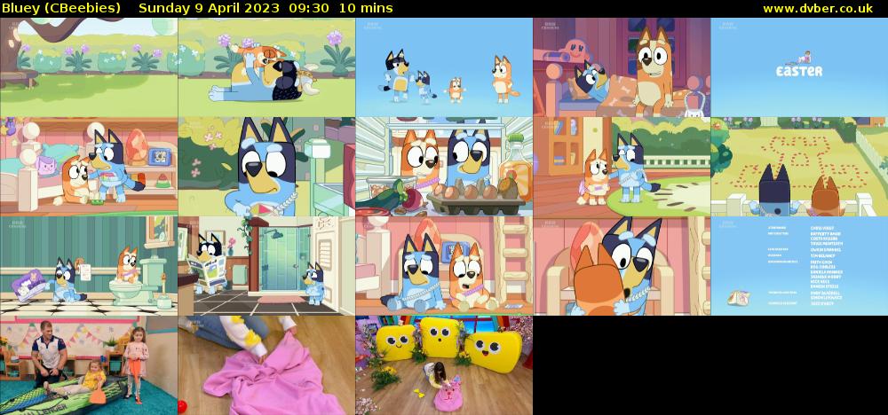 Bluey (CBeebies) Sunday 9 April 2023 09:30 - 09:40