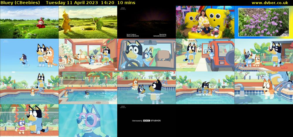 Bluey CBeebies 2023 04 11 1420 bluey-cbeebies-2023-04-11-1420