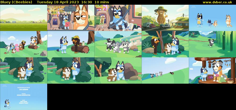 Bluey (CBeebies) Tuesday 18 April 2023 16:30 - 16:40