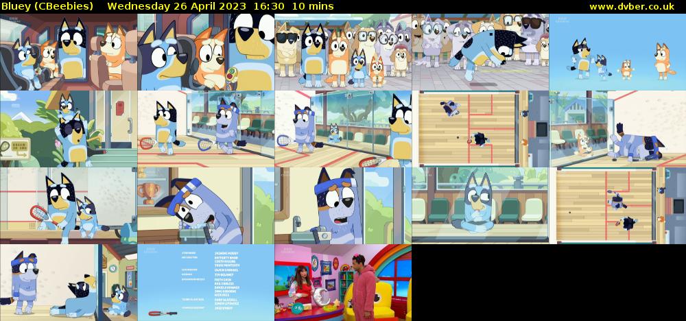 Bluey (CBeebies) Wednesday 26 April 2023 16:30 - 16:40