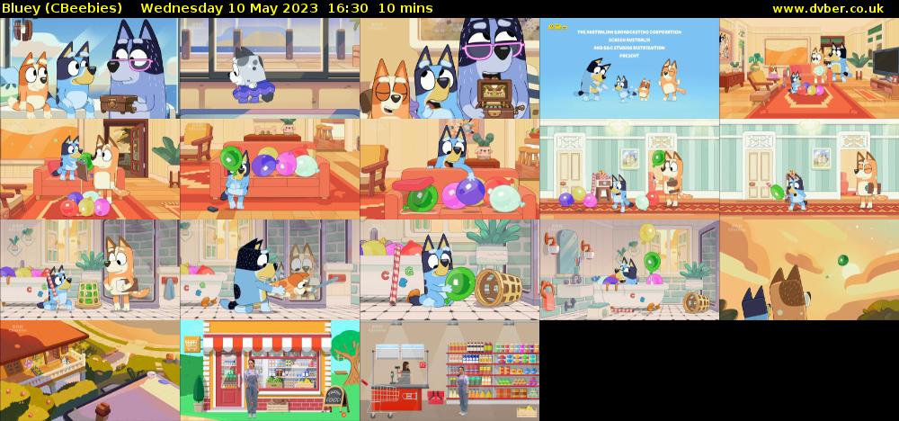 Bluey (CBeebies) Wednesday 10 May 2023 16:30 - 16:40
