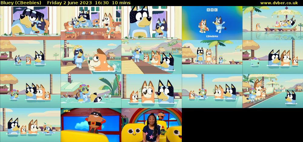 Bluey (CBeebies) Friday 2 June 2023 16:30 - 16:40