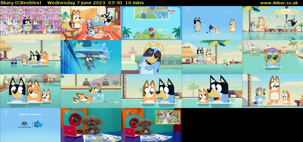Bluey (CBeebies) Wednesday 7 June 2023 07:30 - 07:40