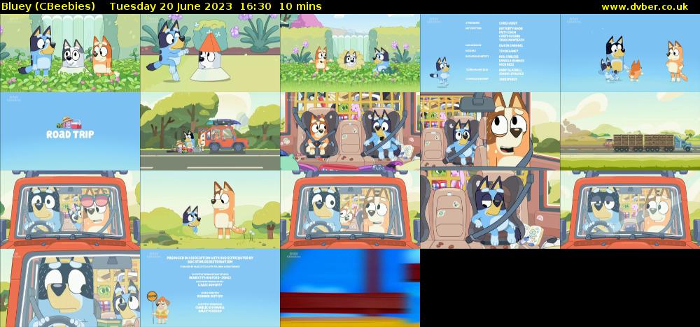 Bluey (CBeebies) Tuesday 20 June 2023 16:30 - 16:40