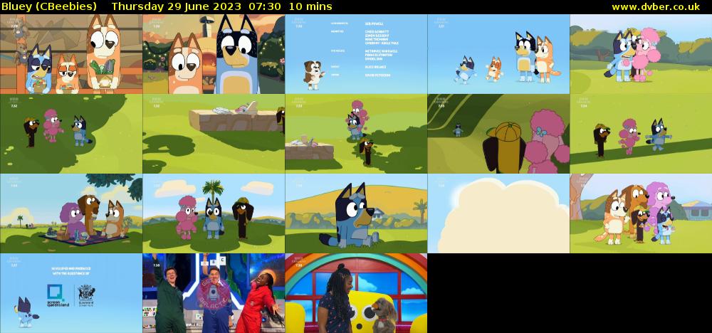 Bluey (CBeebies) Thursday 29 June 2023 07:30 - 07:40