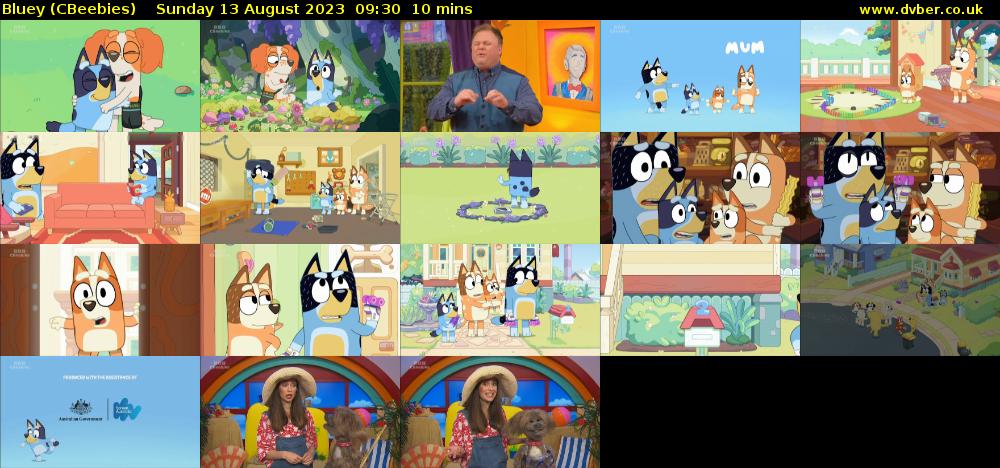 Bluey (CBeebies) Sunday 13 August 2023 09:30 - 09:40