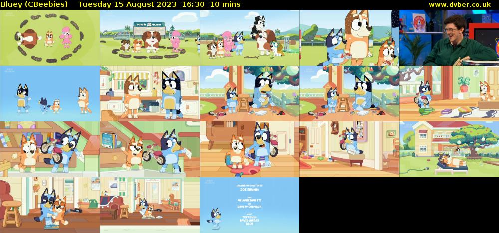 Bluey (CBeebies) Tuesday 15 August 2023 16:30 - 16:40