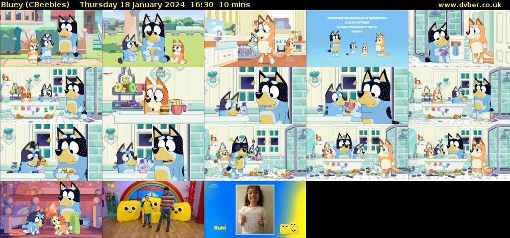 Bluey (CBeebies) - 2024-01-18-1630