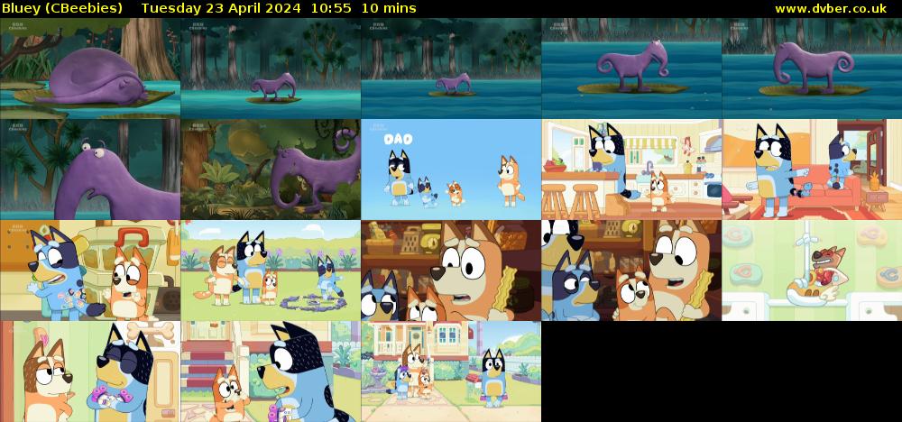 Bluey (CBeebies) Tuesday 23 April 2024 10:55 - 11:05