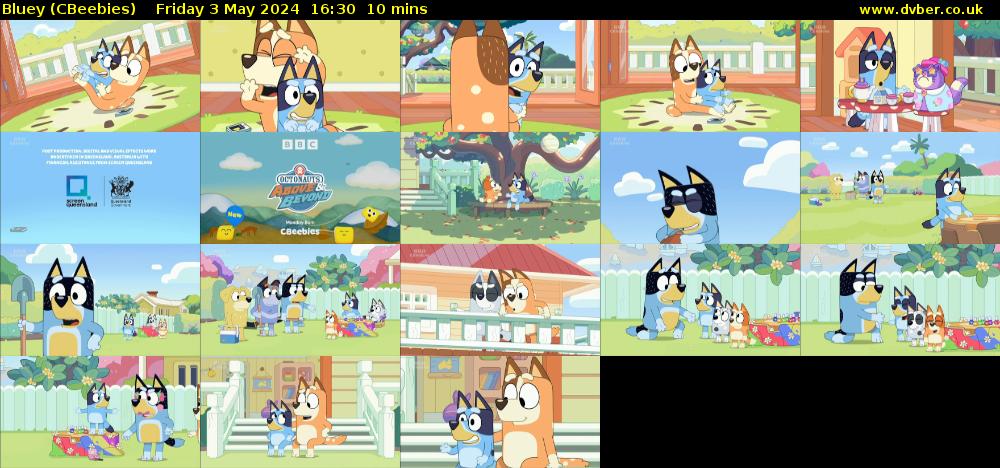 Bluey (CBeebies) - 2024-05-03-1630