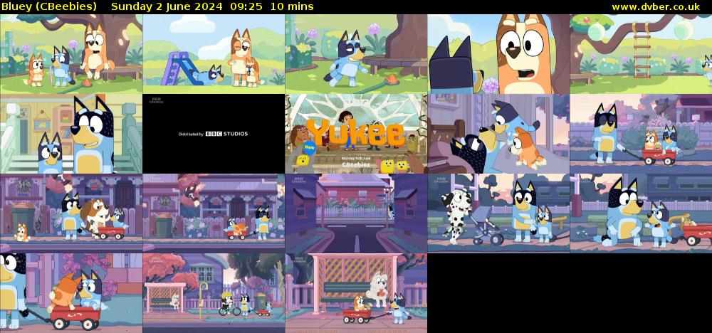 Bluey (CBeebies) Sunday 2 June 2024 09:25 - 09:35