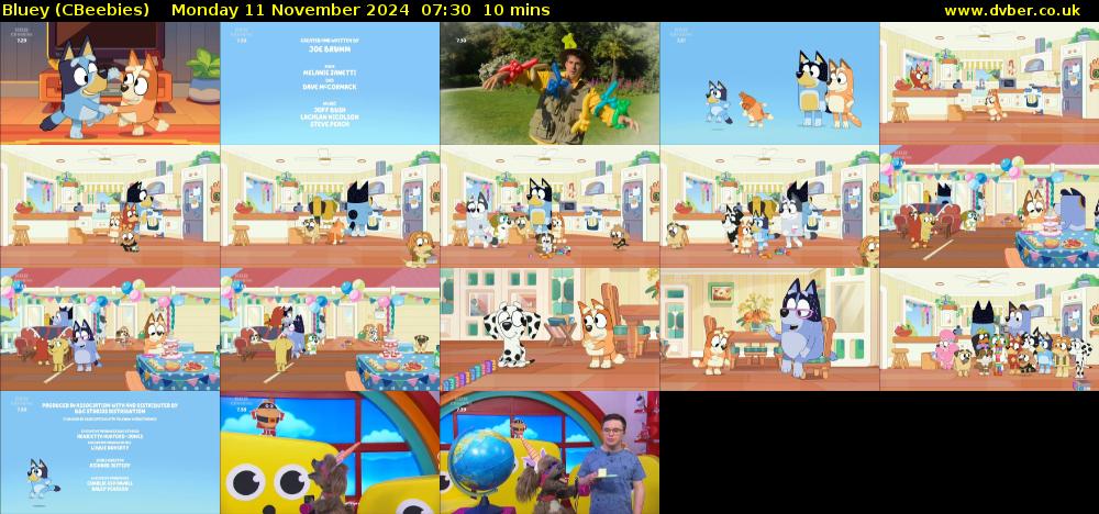 Bluey (CBeebies) Monday 11 November 2024 07:30 - 07:40