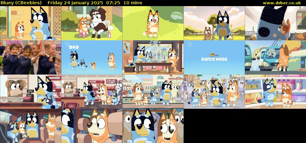 Bluey CBeebies 2025 01 24 0725 bluey-cbeebies-2025-01-24-0725