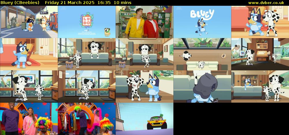 Bluey CBeebies 2025 03 21 1635 bluey-cbeebies-2025-03-21-1635