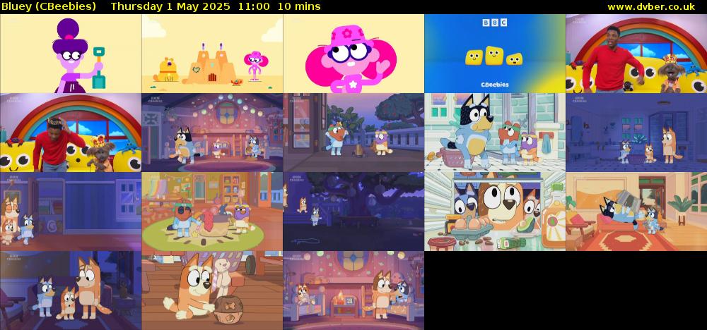 Bluey (CBeebies) Thursday 1 May 2025 11:00 - 11:10