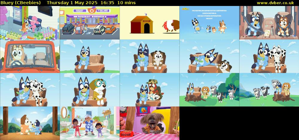 Bluey (CBeebies) Thursday 1 May 2025 16:35 - 16:45