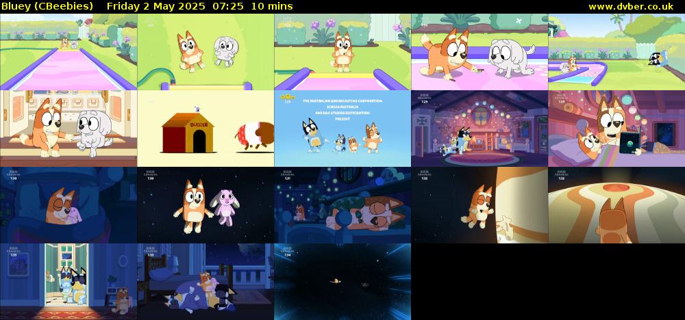 Bluey (CBeebies) Friday 2 May 2025 07:25 - 07:35