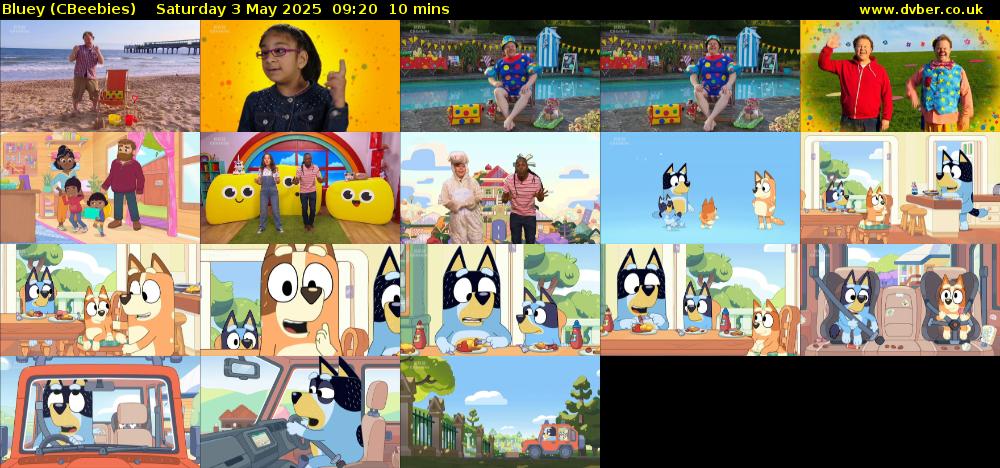 Bluey (CBeebies) Saturday 3 May 2025 09:20 - 09:30