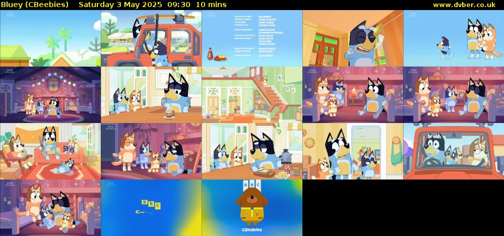 Bluey (CBeebies) Saturday 3 May 2025 09:30 - 09:40