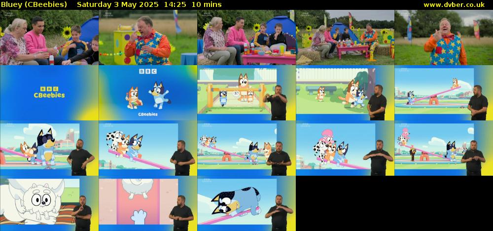 Bluey (CBeebies) Saturday 3 May 2025 14:25 - 14:35