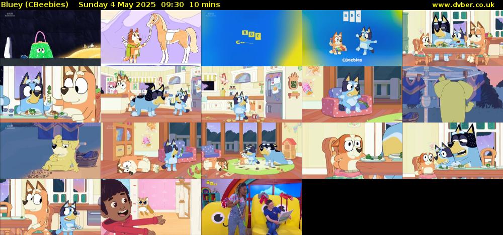 Bluey (CBeebies) Sunday 4 May 2025 09:30 - 09:40