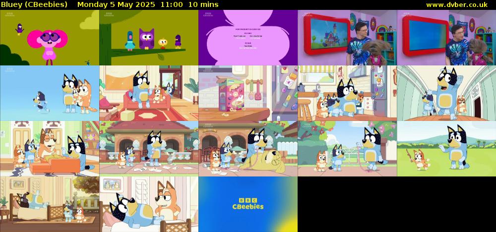 Bluey (CBeebies) Monday 5 May 2025 11:00 - 11:10