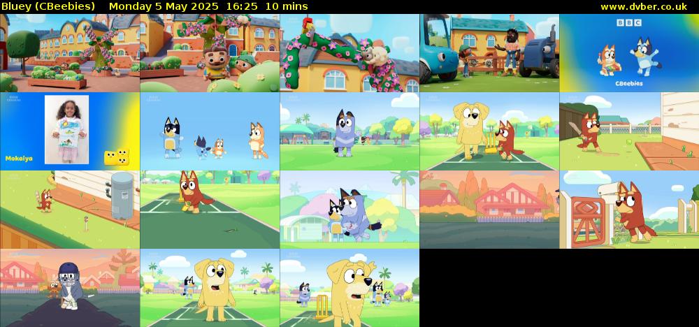 Bluey (CBeebies) Monday 5 May 2025 16:25 - 16:35
