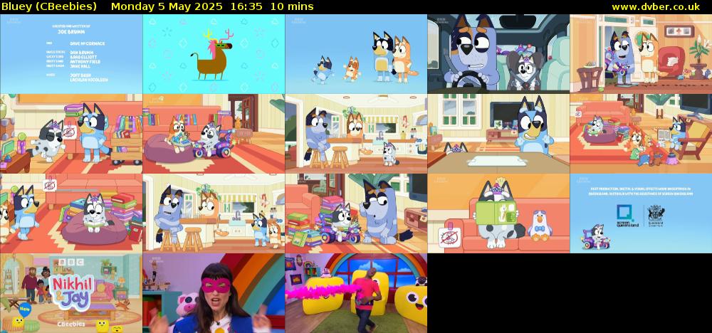 Bluey (CBeebies) Monday 5 May 2025 16:35 - 16:45