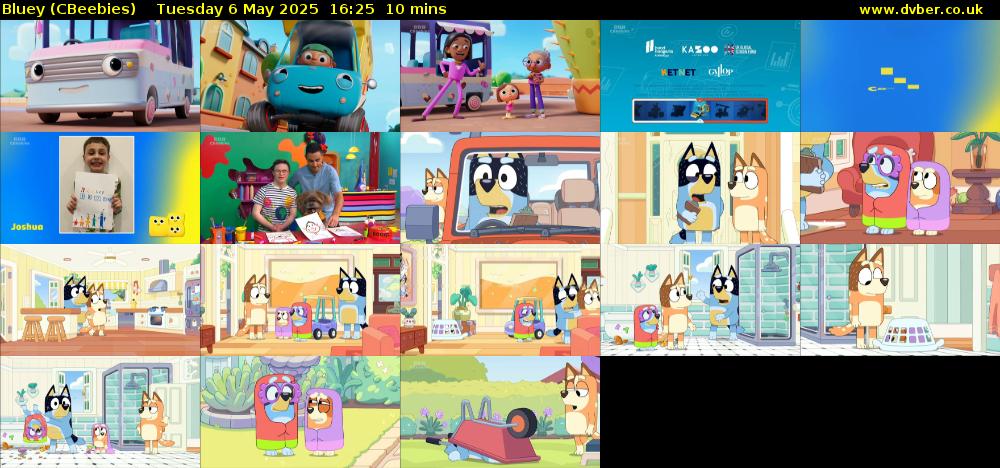 Bluey (CBeebies) Tuesday 6 May 2025 16:25 - 16:35