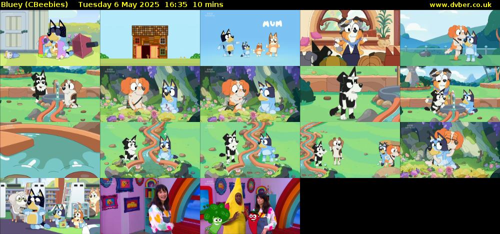 Bluey (CBeebies) Tuesday 6 May 2025 16:35 - 16:45