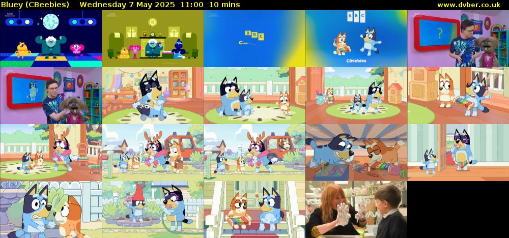 Bluey (CBeebies) Wednesday 7 May 2025 11:00 - 11:10
