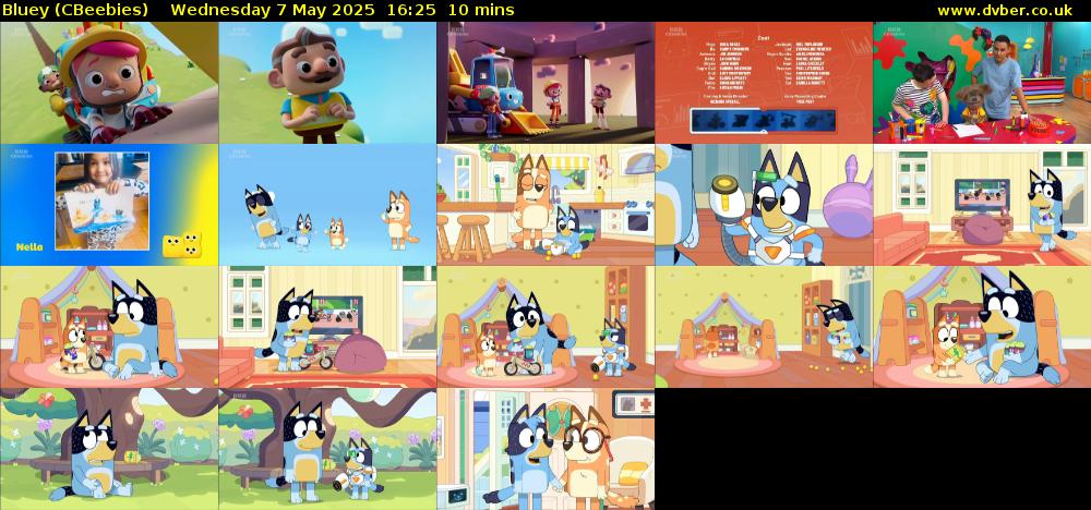 Bluey (CBeebies) Wednesday 7 May 2025 16:25 - 16:35